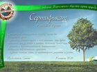 Посади дерево мне в подарок 322