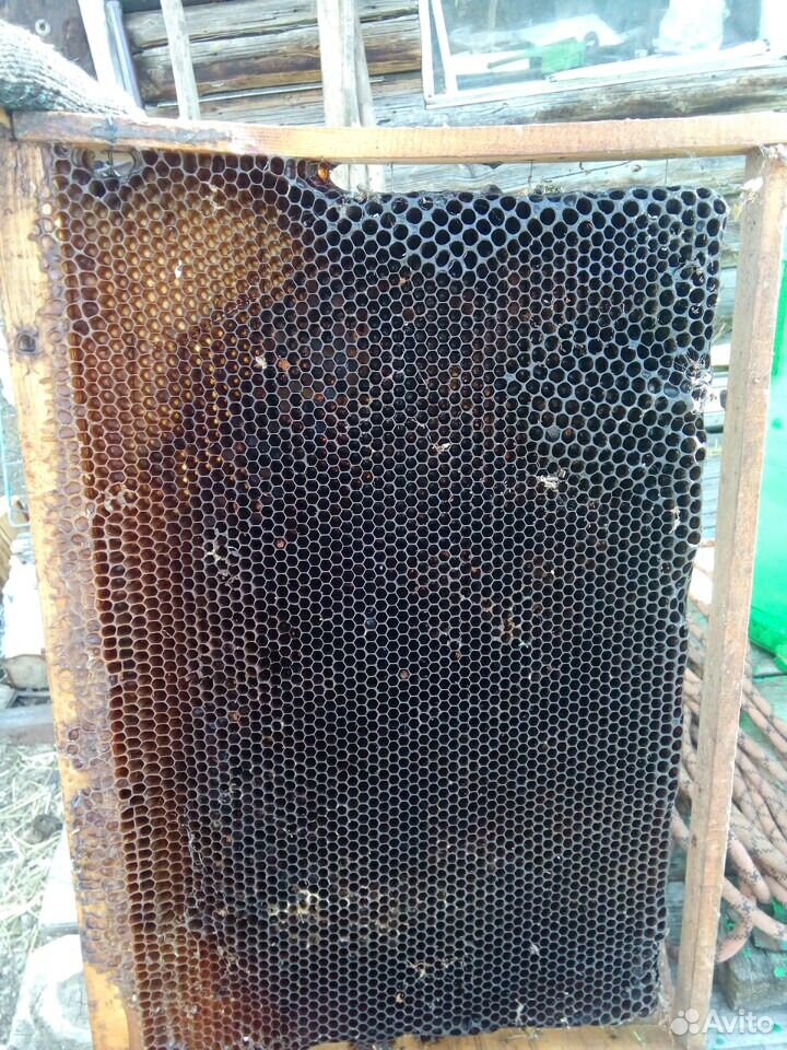 Суш для пчел, ловушек купить на Зозу.ру - фотография № 1