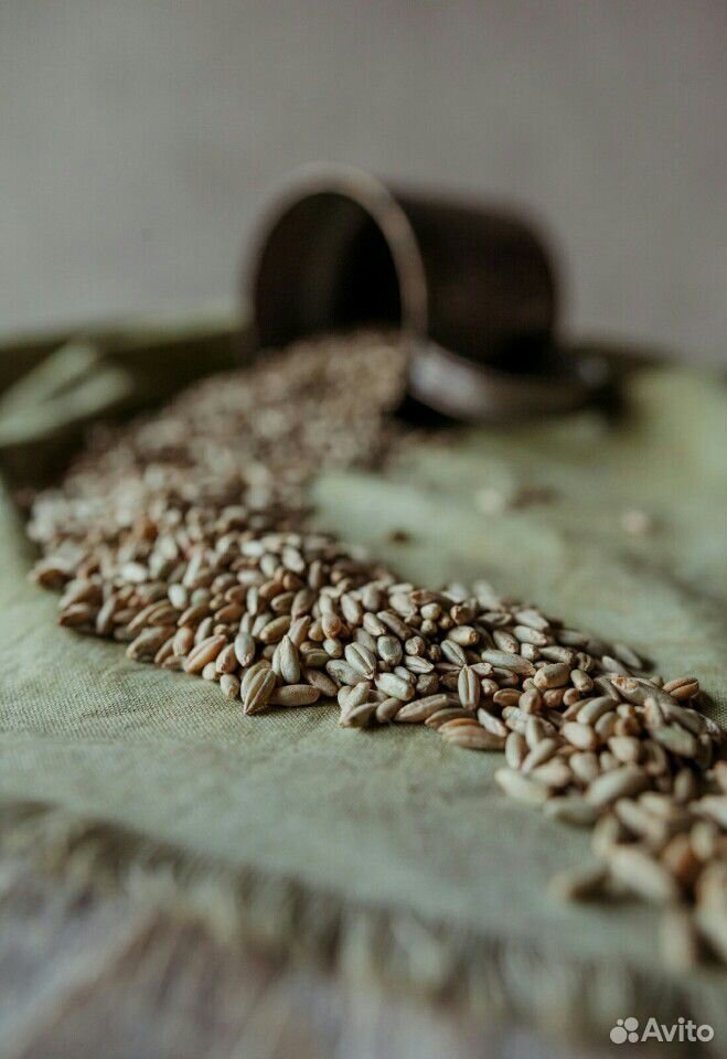 Шугуровская мука пшеничная ржаная купить на Зозу.ру - фотография № 10