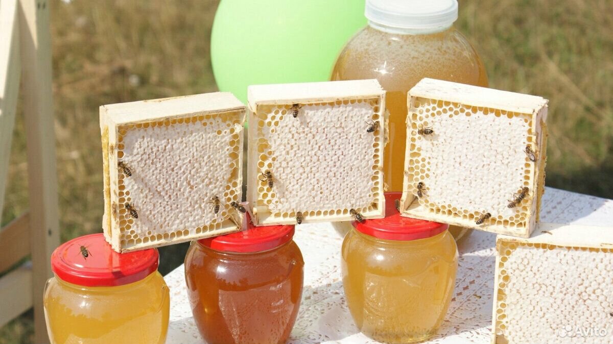 Мед и продукты пчеловодства со своей пасеки купить на Зозу.ру - фотография № 8