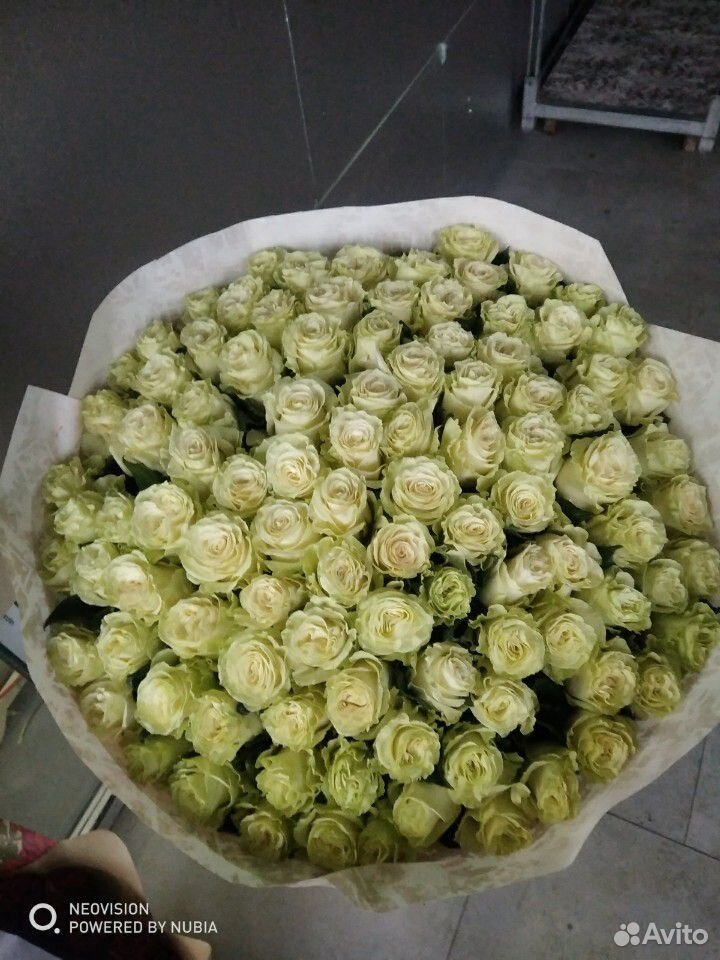 Роза 101 шт. 60 (см) купить на Зозу.ру - фотография № 5