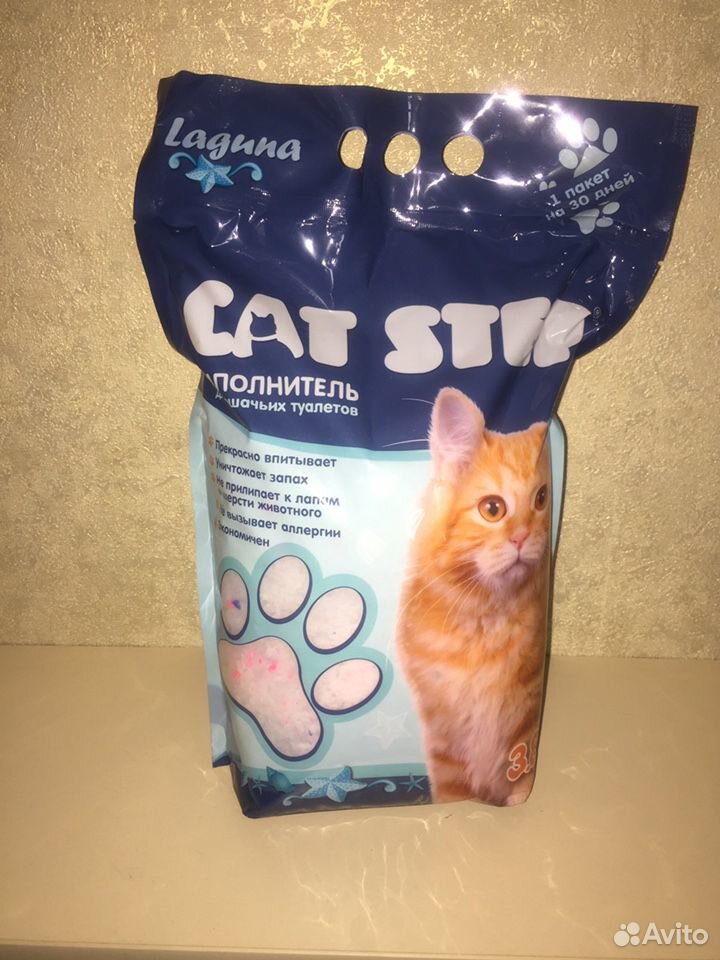 Британский котик купить на Зозу.ру - фотография № 5