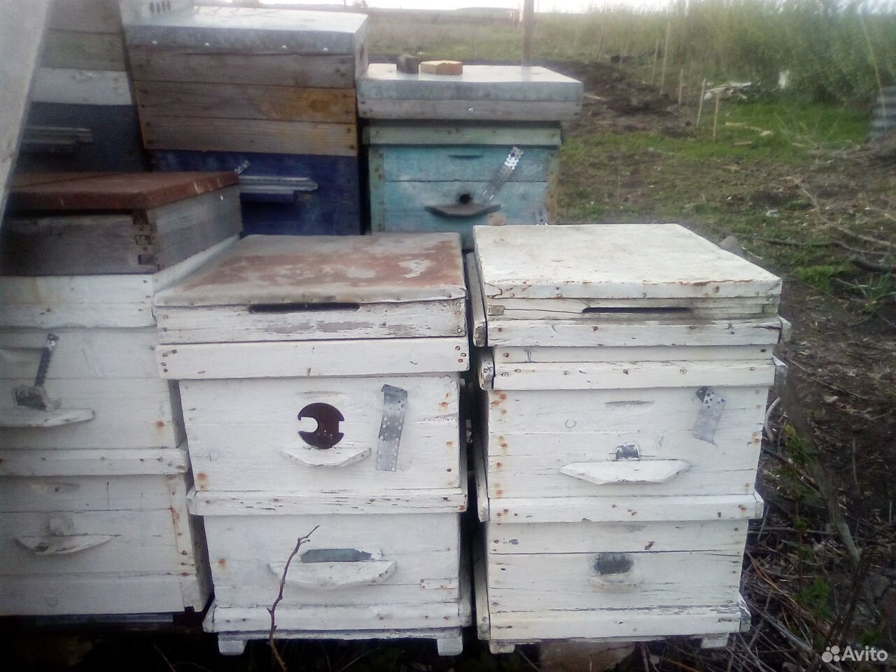 Улики для пчел купить на Зозу.ру - фотография № 4