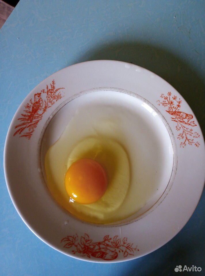 Яйца домашние куриные. Яйцо купить на Зозу.ру - фотография № 2