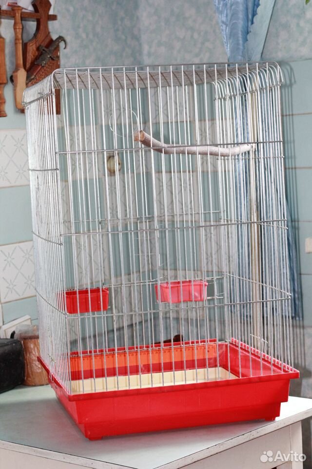Клетки для попугая купить на Зозу.ру - фотография № 4