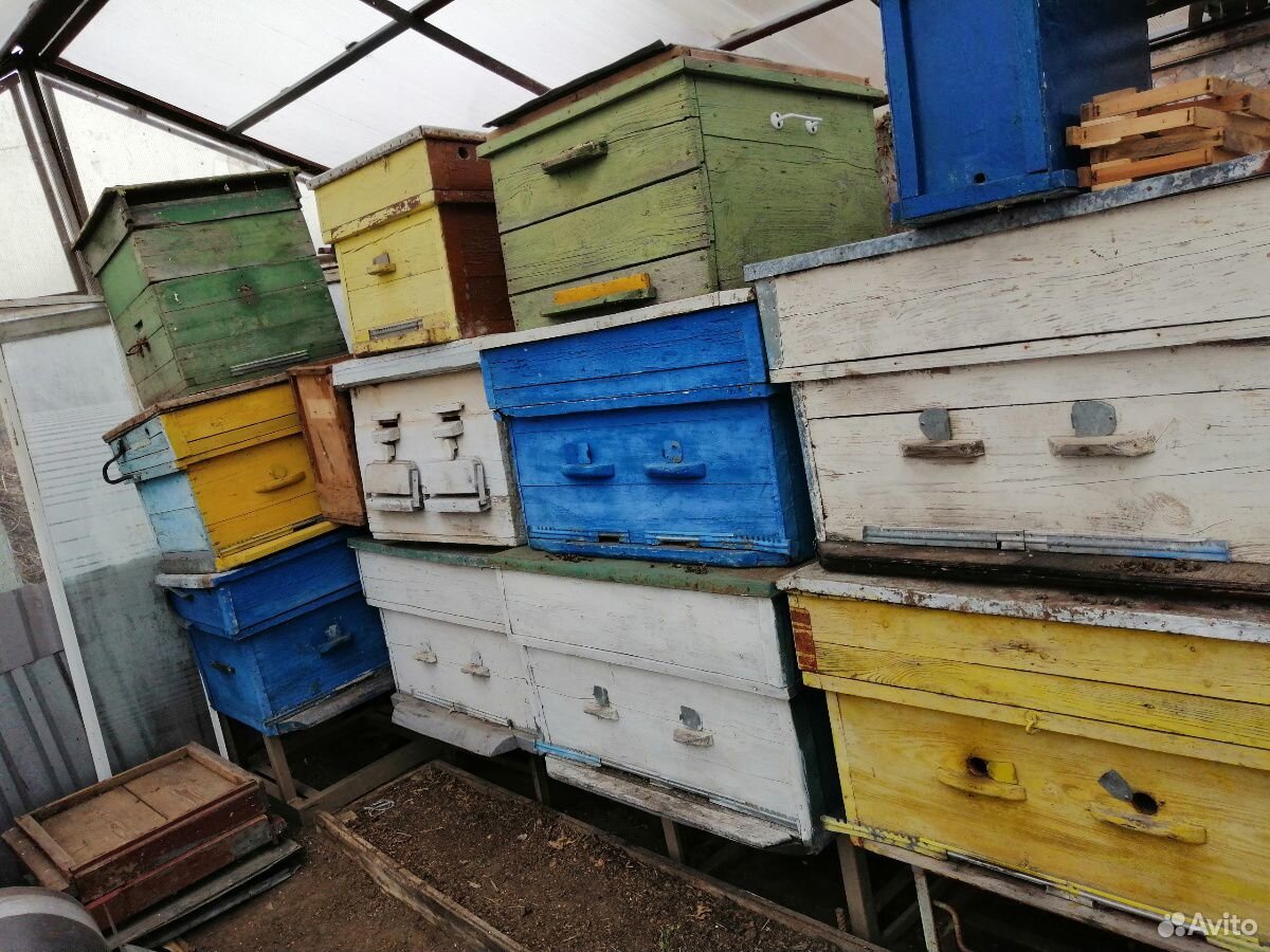 Пчелиные улья купить на Зозу.ру - фотография № 1
