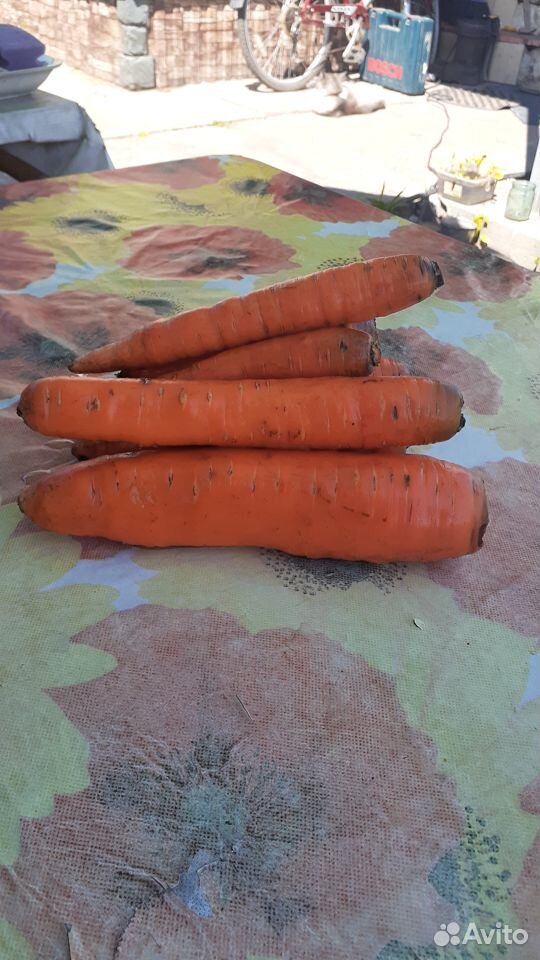 Продам морковь с домашнего огорода купить на Зозу.ру - фотография № 3