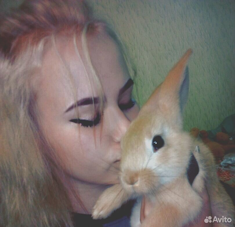 Кролик 3 месяца купить на Зозу.ру - фотография № 1
