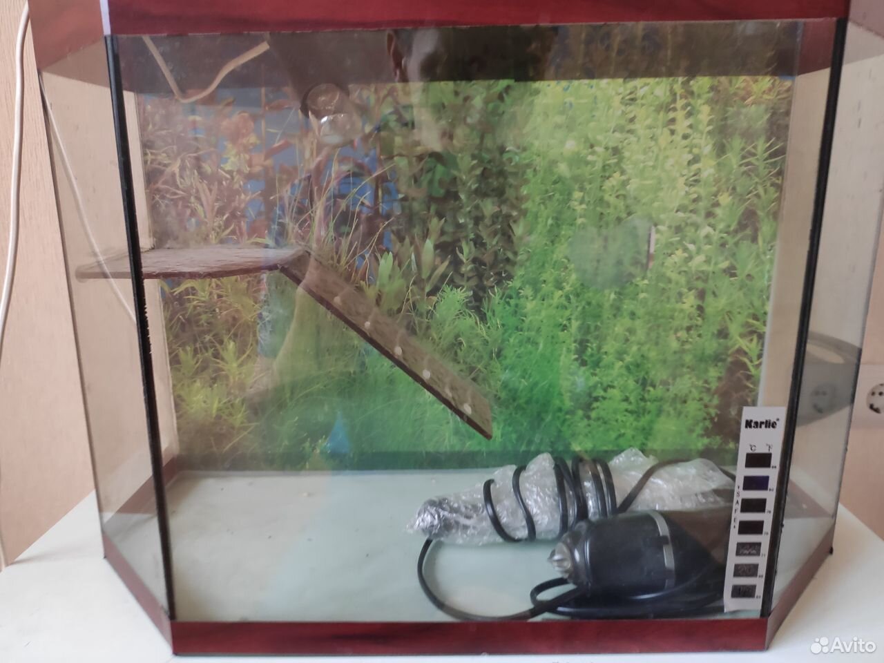 Террариум для водной черепахи около 30 л купить на Зозу.ру - фотография № 2