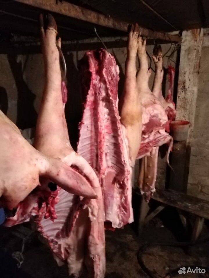 Мясо свинины домашнее купить на Зозу.ру - фотография № 2