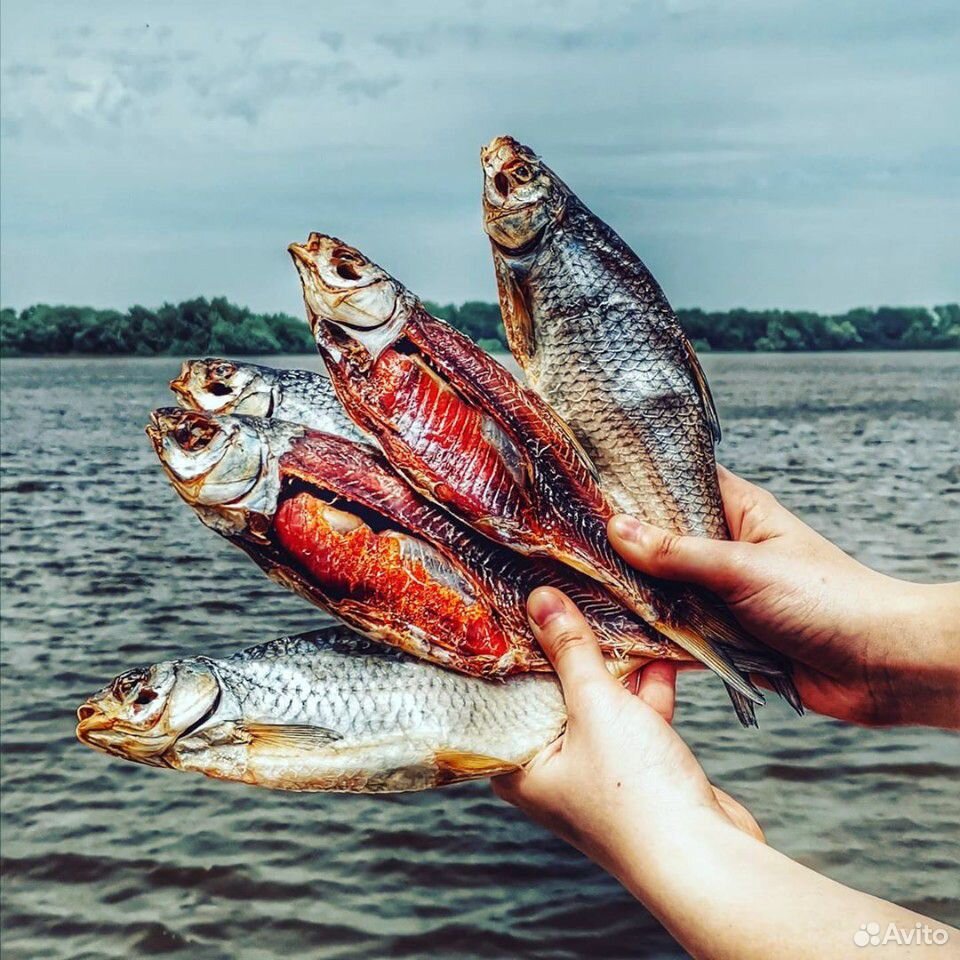 Живые раки,сушёная рыба купить на Зозу.ру - фотография № 2