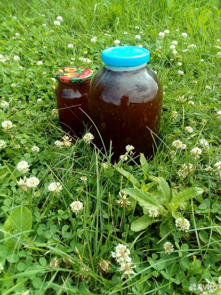 Мёд Натуральный Сибирский купить на Зозу.ру - фотография № 1