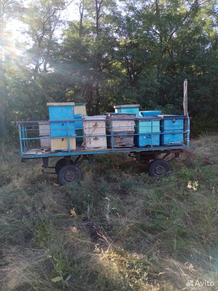 Пчелосемьи и телега купить на Зозу.ру - фотография № 1