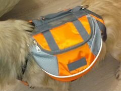 Рюкзак для собаки