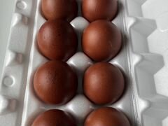 Инкубационное яйцо черно-серебристого и черно-медн
