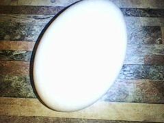 Инкубационное яйцо гуся