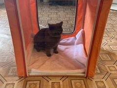 Выставочная палатка / вольер для кошек