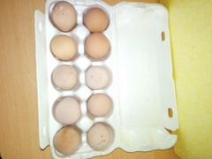 Яйцо цисариное-инкубационное