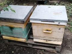 Продажа пчёл - рой