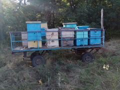 Пчелосемьи и телега