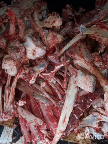 На корм животным