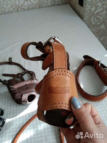 Ошейники и намордники