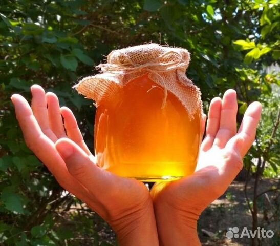 Мед крымский дачный 2023