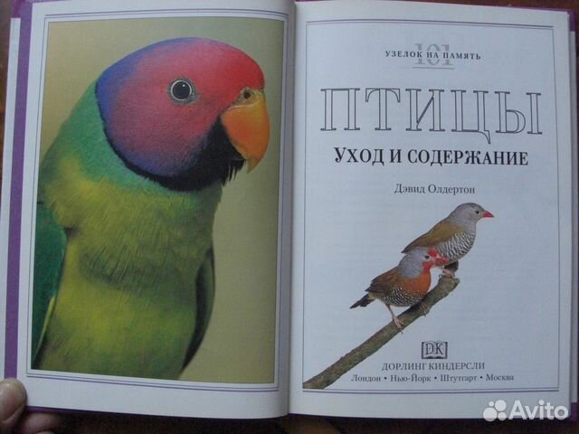 Птицы. Уход и содержание