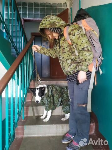 Комбинезон, теплый, для большой собачки