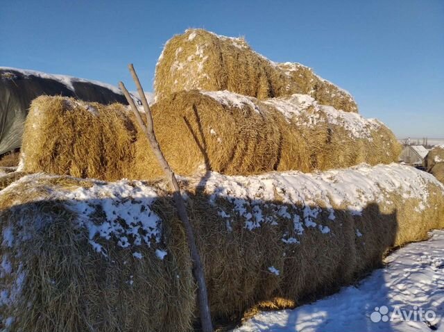 Солома Купить В Нижегородской Области