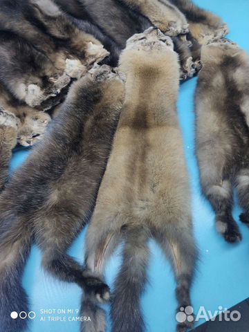 Шкурки соболя и др