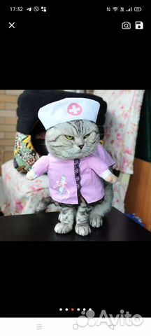 Костюм для животных