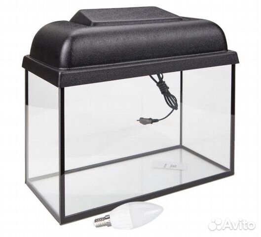 Золотые Рыбки Аквариумные Купить В Спб