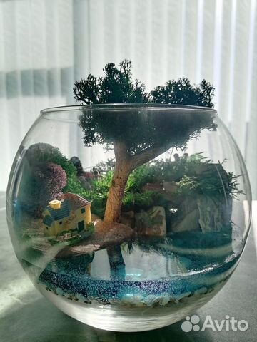 Моссариум, подарок