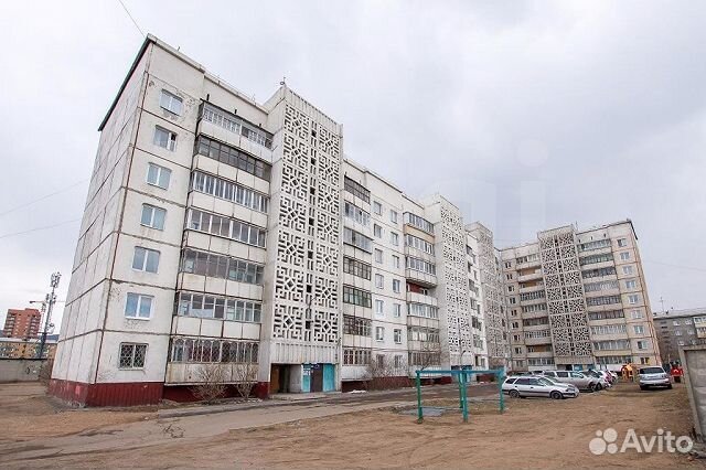 Авито улан-удэ комнатные цветы Авито улан-удэ комнатные цветы