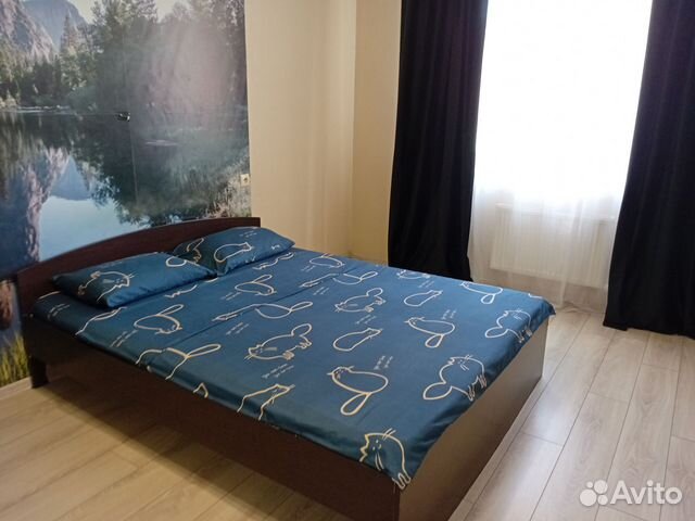 

1-к. квартира, 45 м², 2 кровати