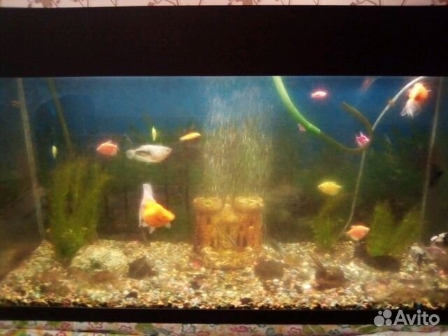 Продам аквариум с тумбой на 200 литров