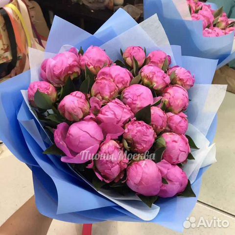 Пионы Пионы