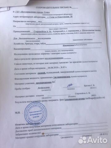 Мёд оптом 2019 (каштан-липа)