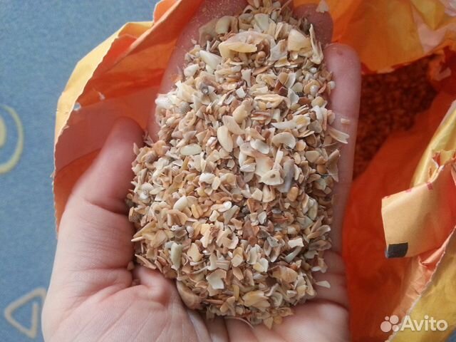Ракушка кормовая для птицы