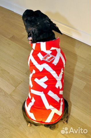 Красно-белая одежда для собак с логотипом Спартака купить на Зозу.ру - фотография № 2
