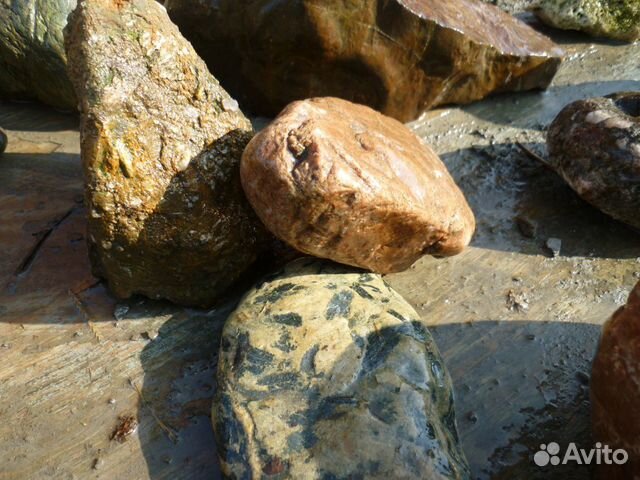 Речной камень, грунт, валуны, мшатник, коряги. Бол купить на Зозу.ру - фотография № 5