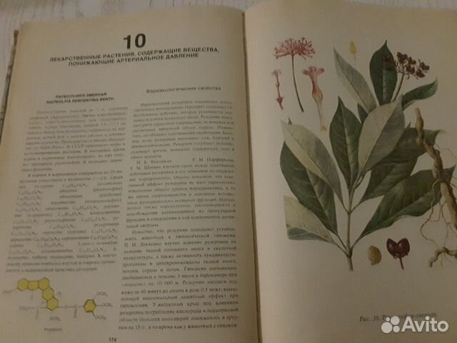 Лекарственные растения (Книга-справочник) Лекарственные растения (Книга-справочник)