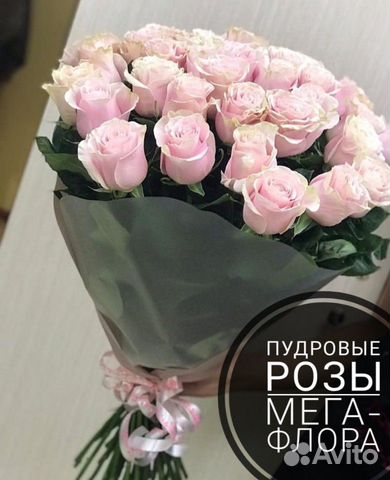 Розы Пудровые 25 шт. Букет роз. Цветы. Доставка цв