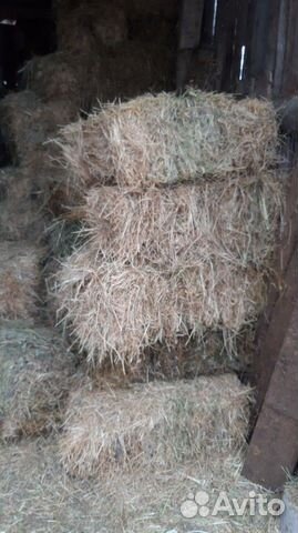 Луговая трава купить на Зозу.ру - фотография № 3