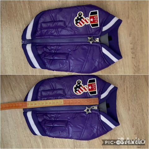 Одежда для собак