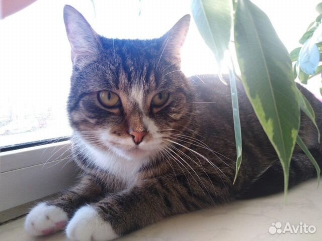 Мужчина добавил в черный список. Совсем настоящий. Трусливый мужчина цитаты. Маленький медвежонок. Совсем настоящий.