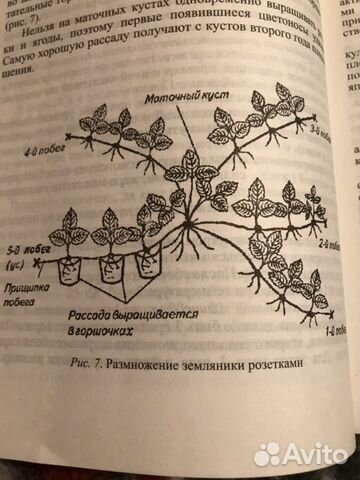 Кника в твердом переплете, прошита 556 стр, новая Кника в твердом переплете, прошита 556 стр, новая