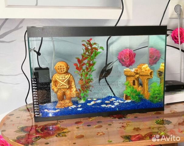 Продам 2 аквариума купить на Зозу.ру - фотография № 2