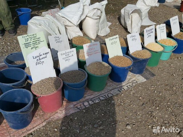 Комбикорм зерно купить на Зозу.ру - фотография № 2